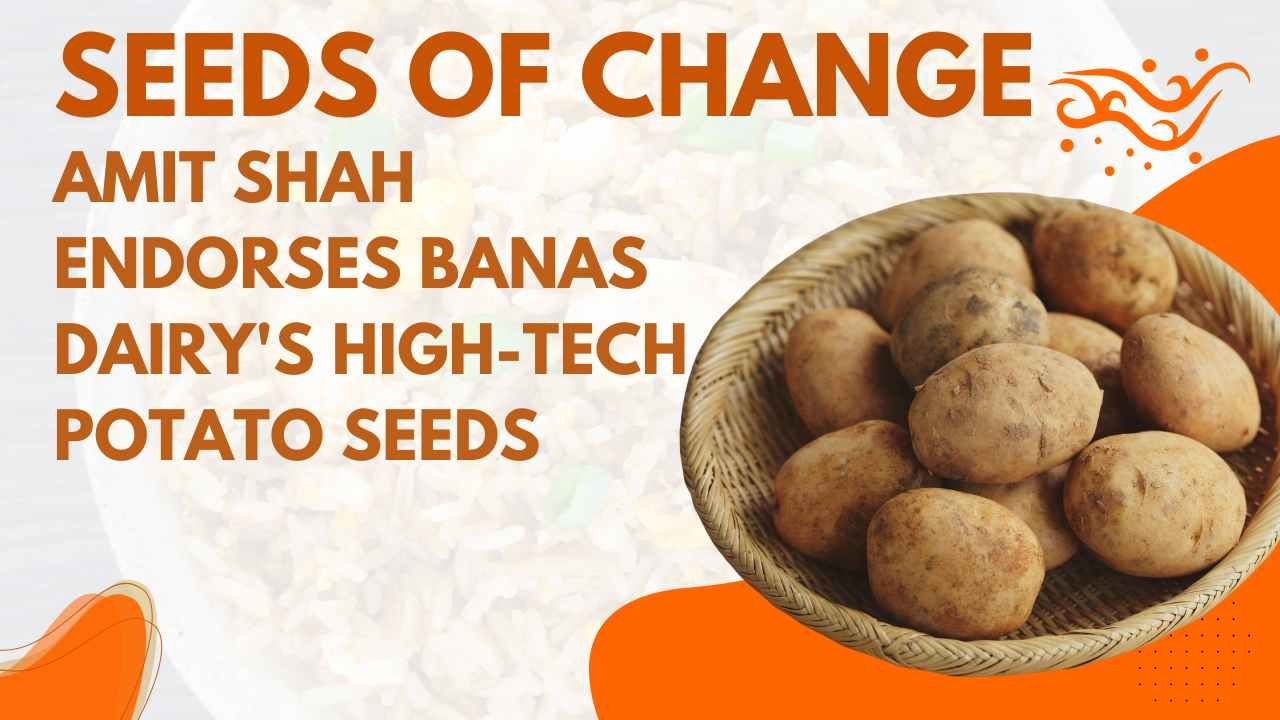 Amit Shah Endorses Banas Dairy's High-Tech Potato Seed Revolution