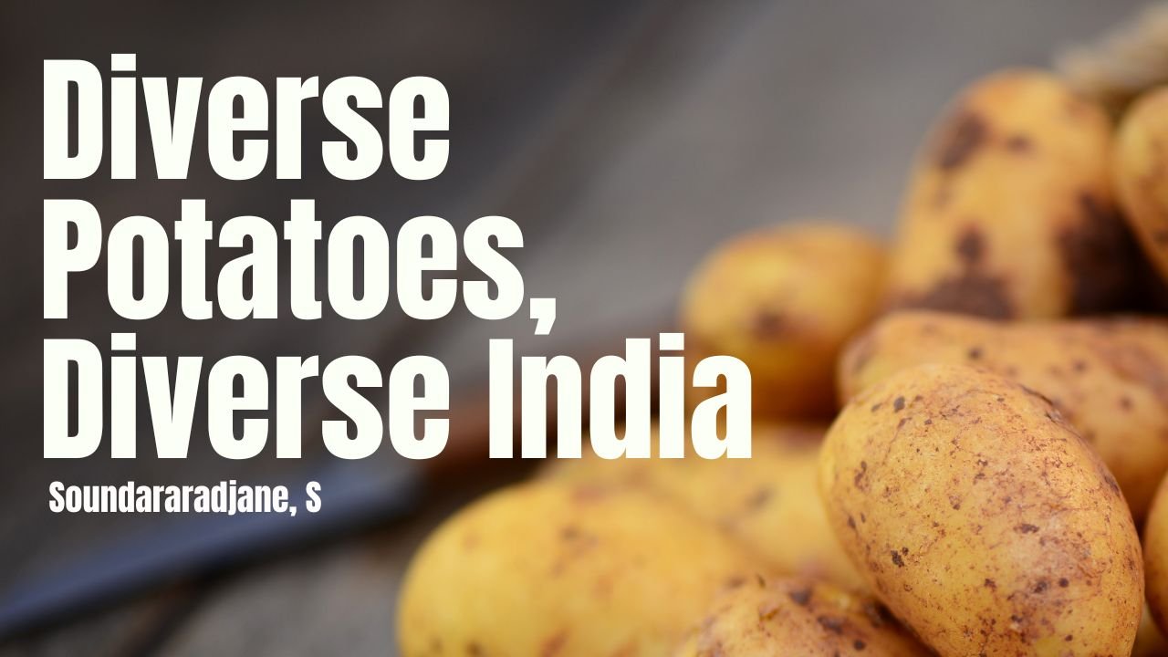 Diverse Potatoes, Diverse India by Soundararadjane, S CEO HyFarm and HyFun