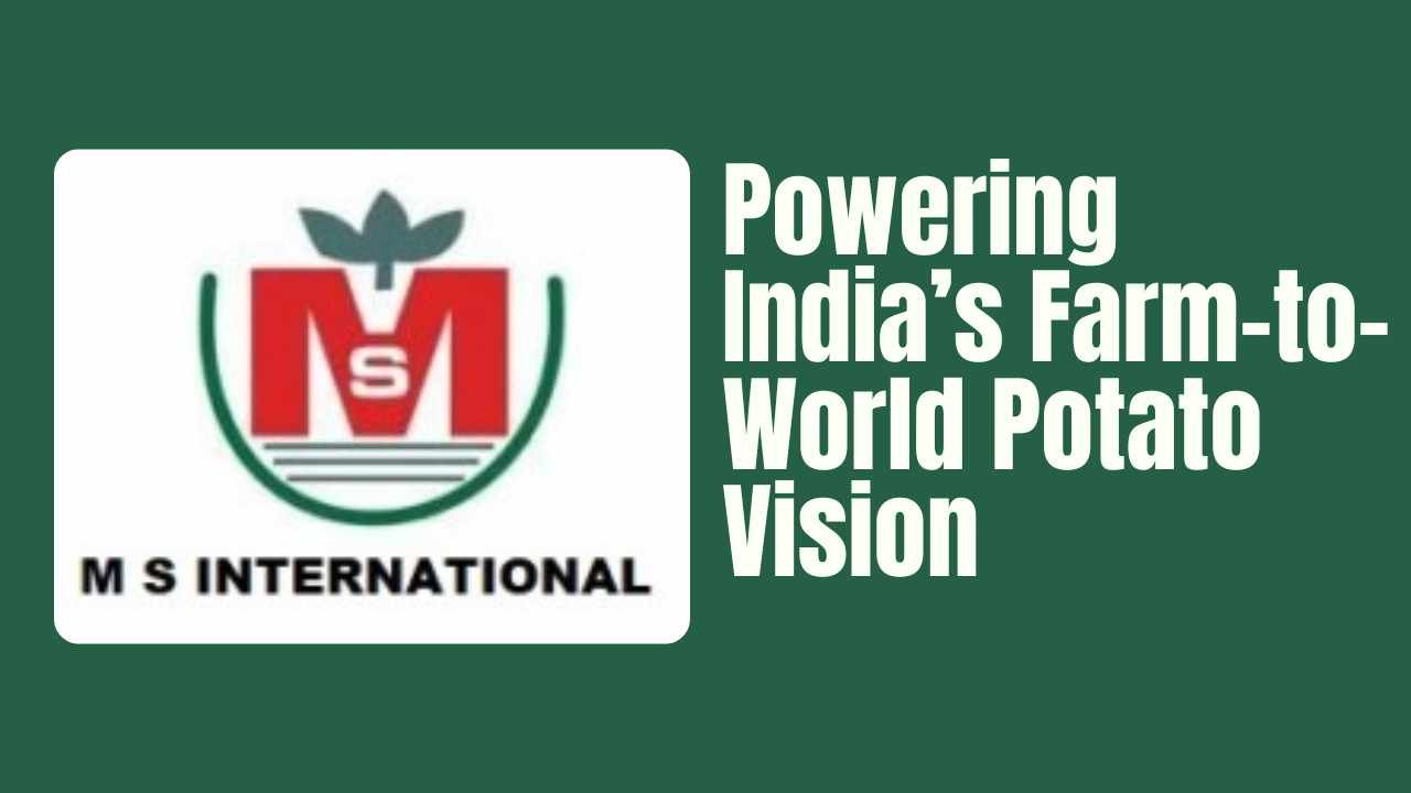 MS International Potato Exporter from Gujarat India