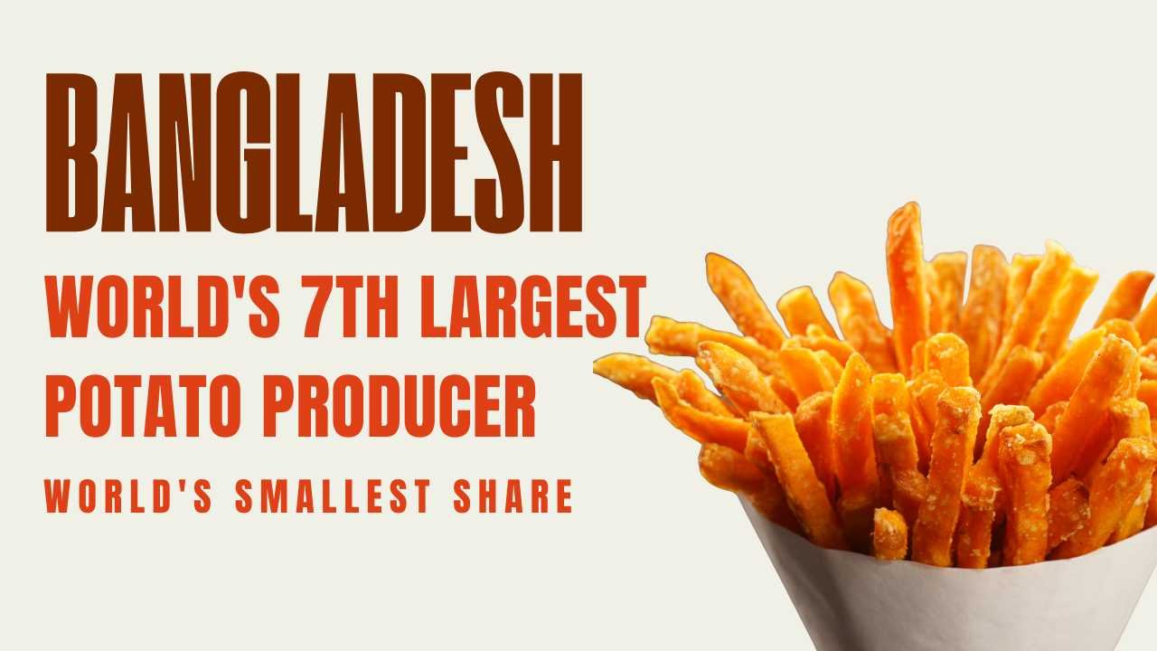 Why Bangladesh Holds Just 0.01% of the Global Potato Market